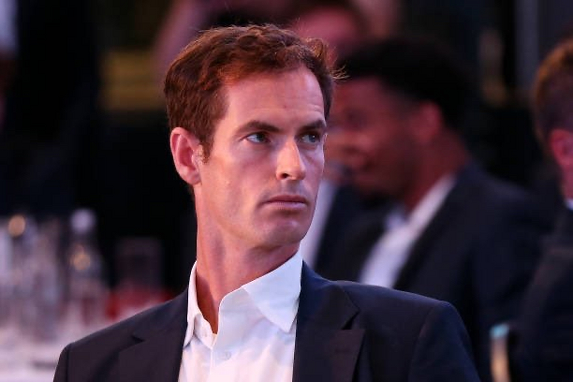 戴维斯杯横扫澳网,穆雷带队取胜 戴维斯杯横扫澳网,穆雷带队取胜